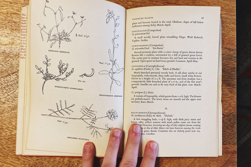 Must Have Old Books on Kuwait – 2:48AM – Entertaining Kuwait since 2003