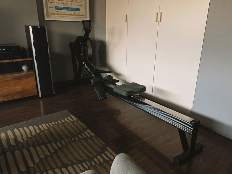 Hot Quarantine Commodity Gym Equipment 248AM