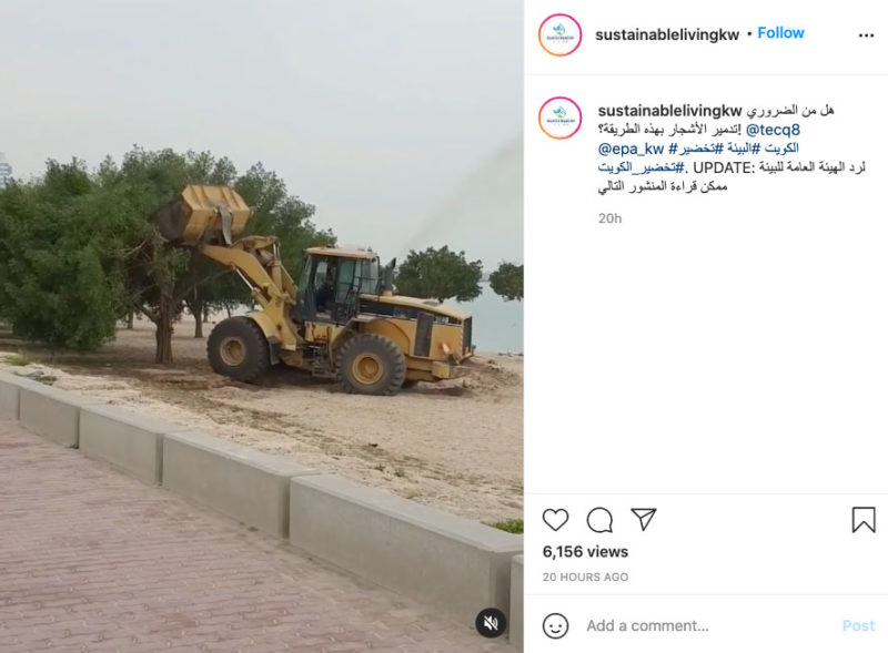 Kuwait & Trees 248AM