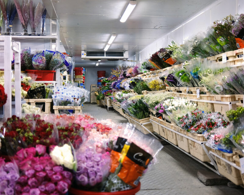 My New Favorite Flowers Wholesaler in Kuwait 248AM Entertaining